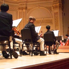 violin2