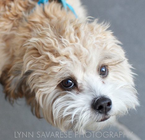 _MG_1893