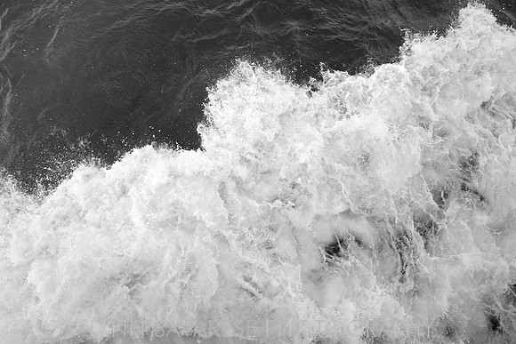 _94A6478 - Version 2
