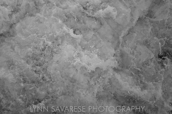 _94A6474 - Version 2