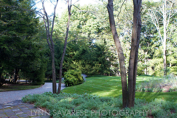 43 Crows Nest Road
