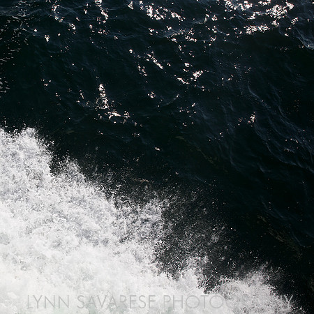_94A6522 - Version 2