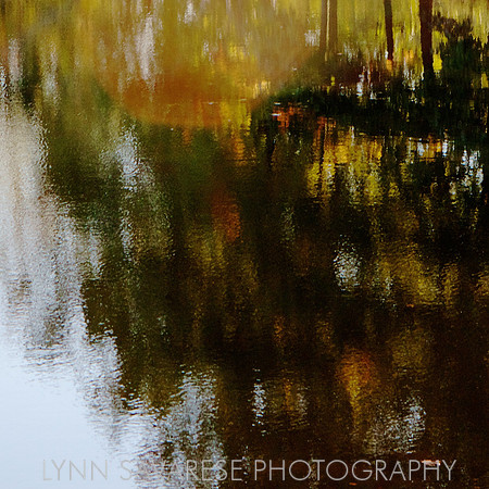 Water and Light