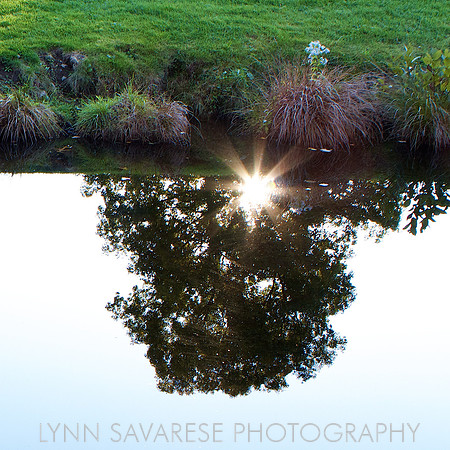 Water and Light