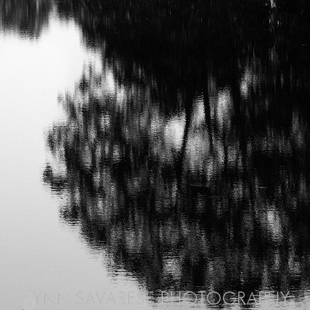 Water and Light