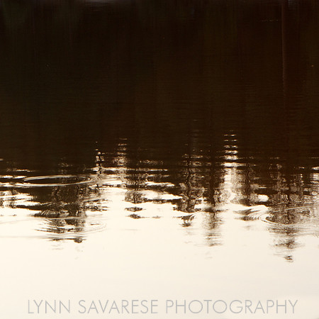 Water and Light