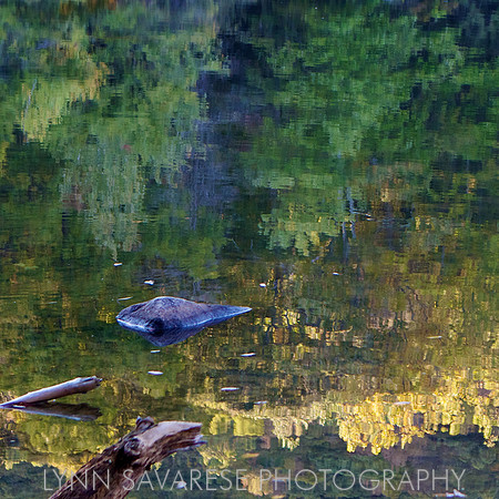 Water and Light