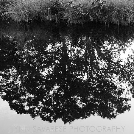Water and Light
