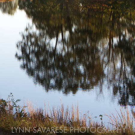 Water and Light