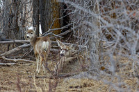 _94A4364 - Version 2