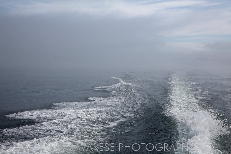 _94A9486 - Version 2