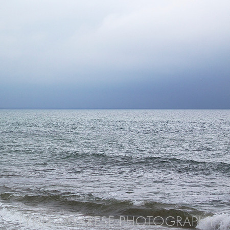martha's vineyard h2o17
