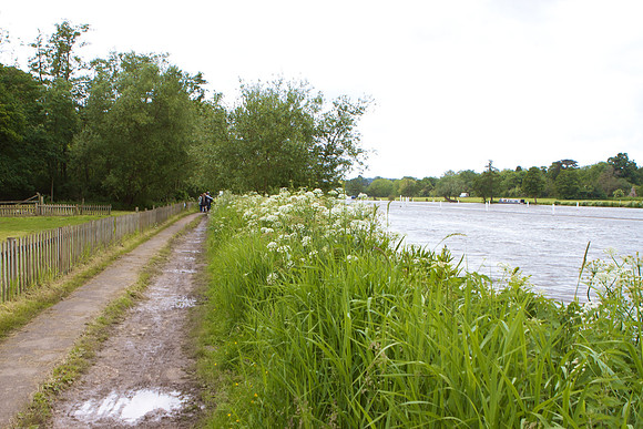 Henley Women's Regatta, 6/15/2012