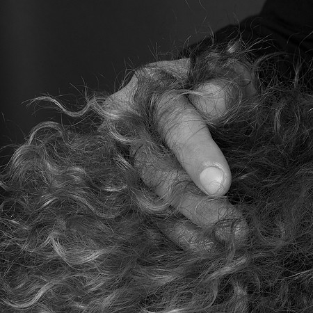 The Hairdresser