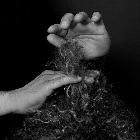 The Hairdresser