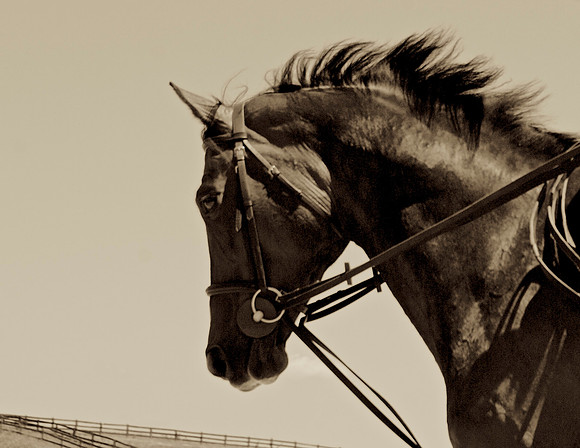 _94A4994 - Version 2