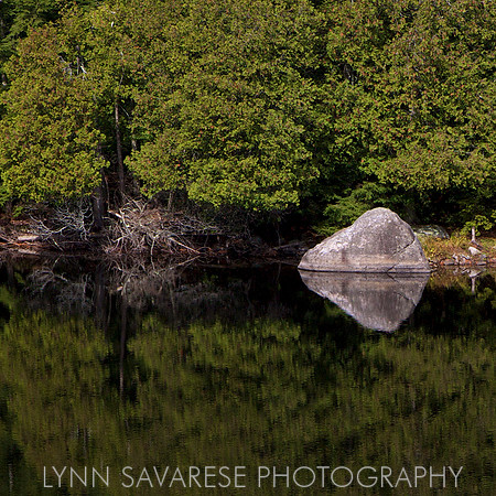 _94A0344 - Version 2