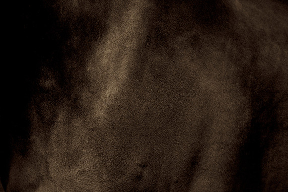 _94A4818