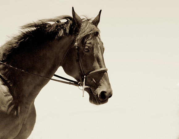 _94A4989 - Version 2