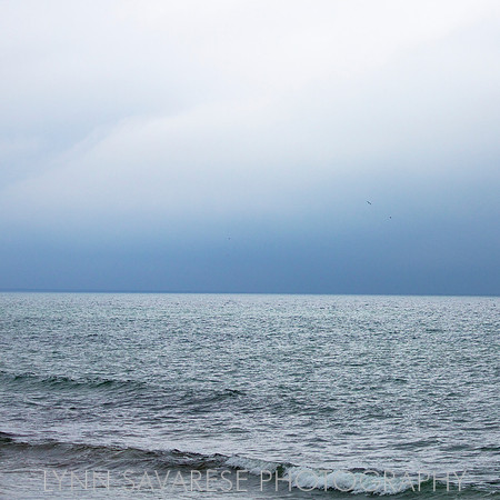 martha's vineyard h2o21