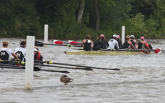 The Henley Women's Regatta