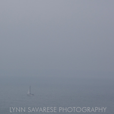 martha's vineyard h2o39