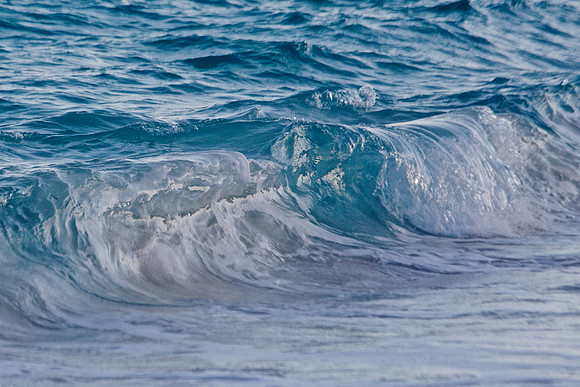 _94A3274 - Version 2
