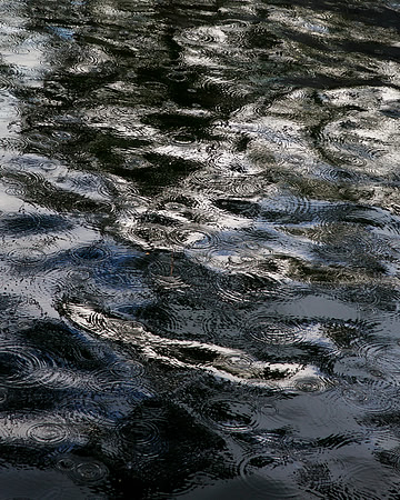 _94A3551