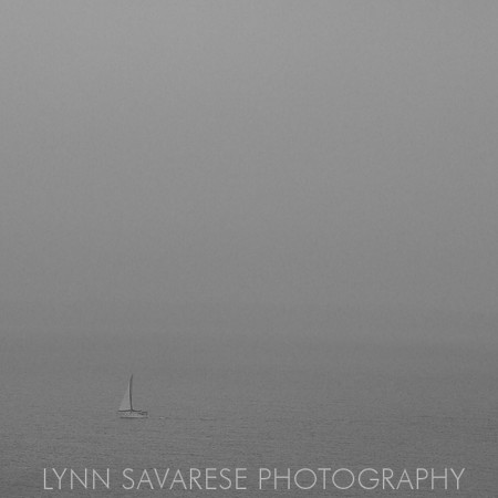 martha's vineyard h2o40