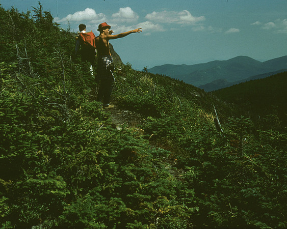 Ted-archives 116