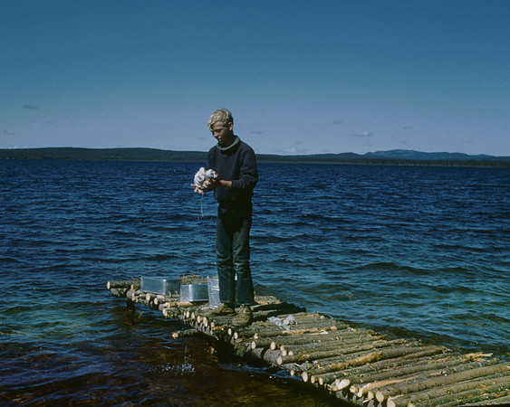 Ted-archives 134