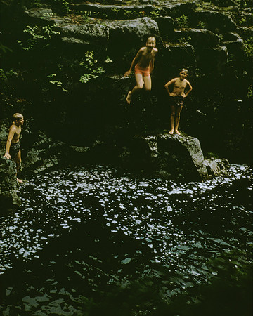 Ted-archives 137