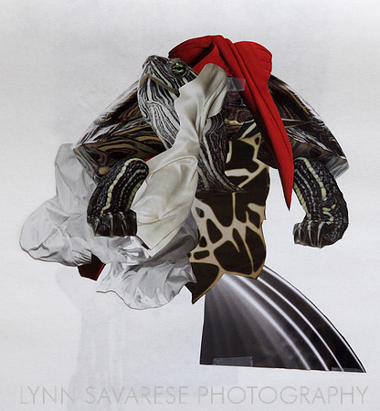 Helen's Collage Work