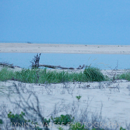 Martha's Vineyard H2O 1