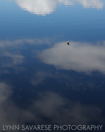 _94A0347 - Version 2