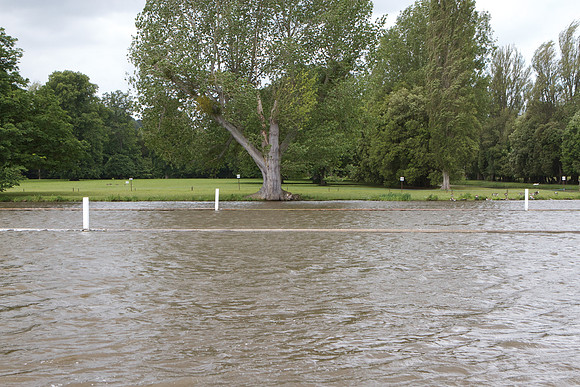 The Henley Women's Regatta