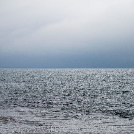 martha's vineyard h2o28