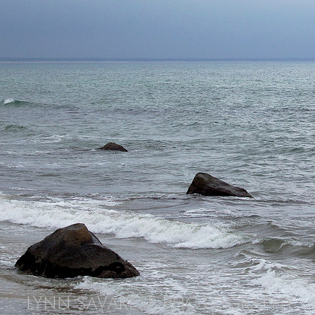 martha's vineyard h2o19