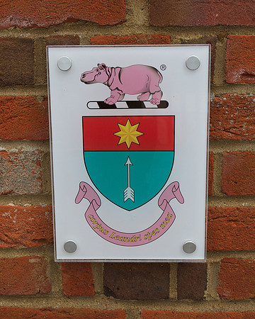 Henley Women's Regatta, 6/15/2012