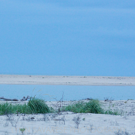 Martha's Vineyard H2O 2