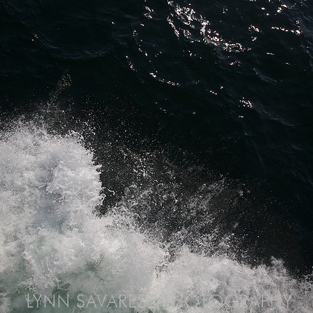 _94A6520 - Version 2