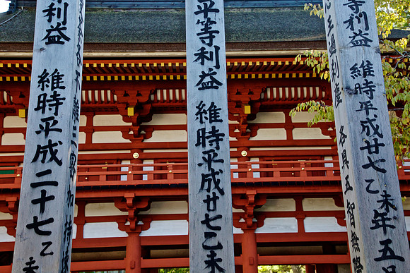 4U6A4282