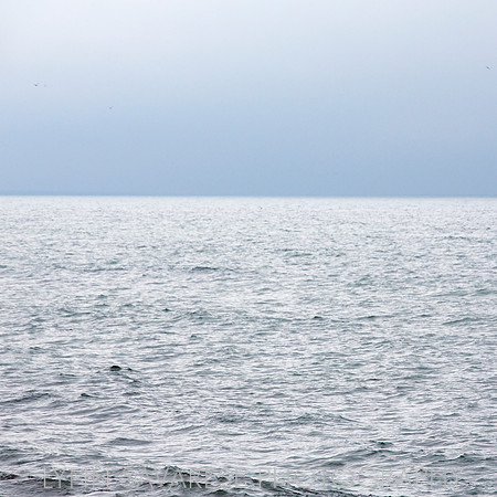 martha's vineyard h2o25