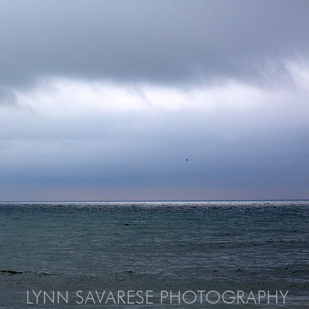 martha's vineyard h2o12