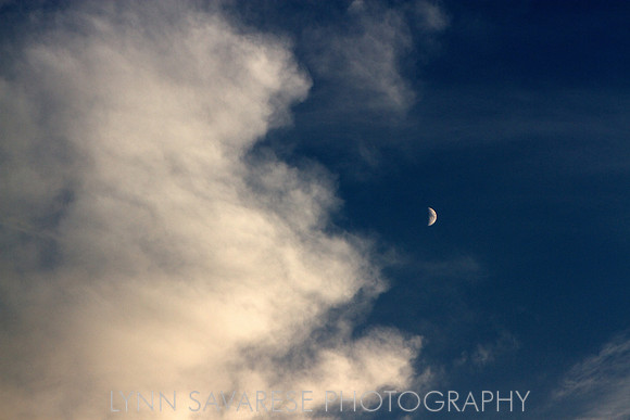 Crescent Moon and Cloud