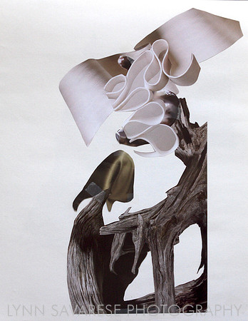 Helen's Collage Work