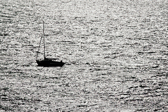 _94A5754