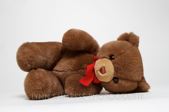Bears, Puppies and Friends