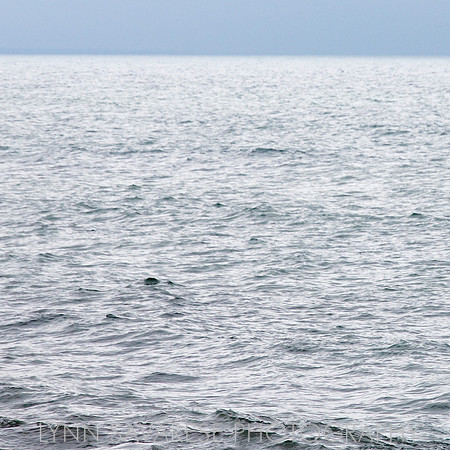 martha's vineyard h2o26
