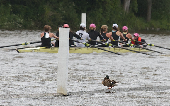 The Henley Women's Regatta